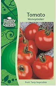 Simply Garden Tomato Moneymaker Fresh Vegetable Fruit Seeds Grow Your Own Garden